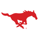 Southern Methodist University