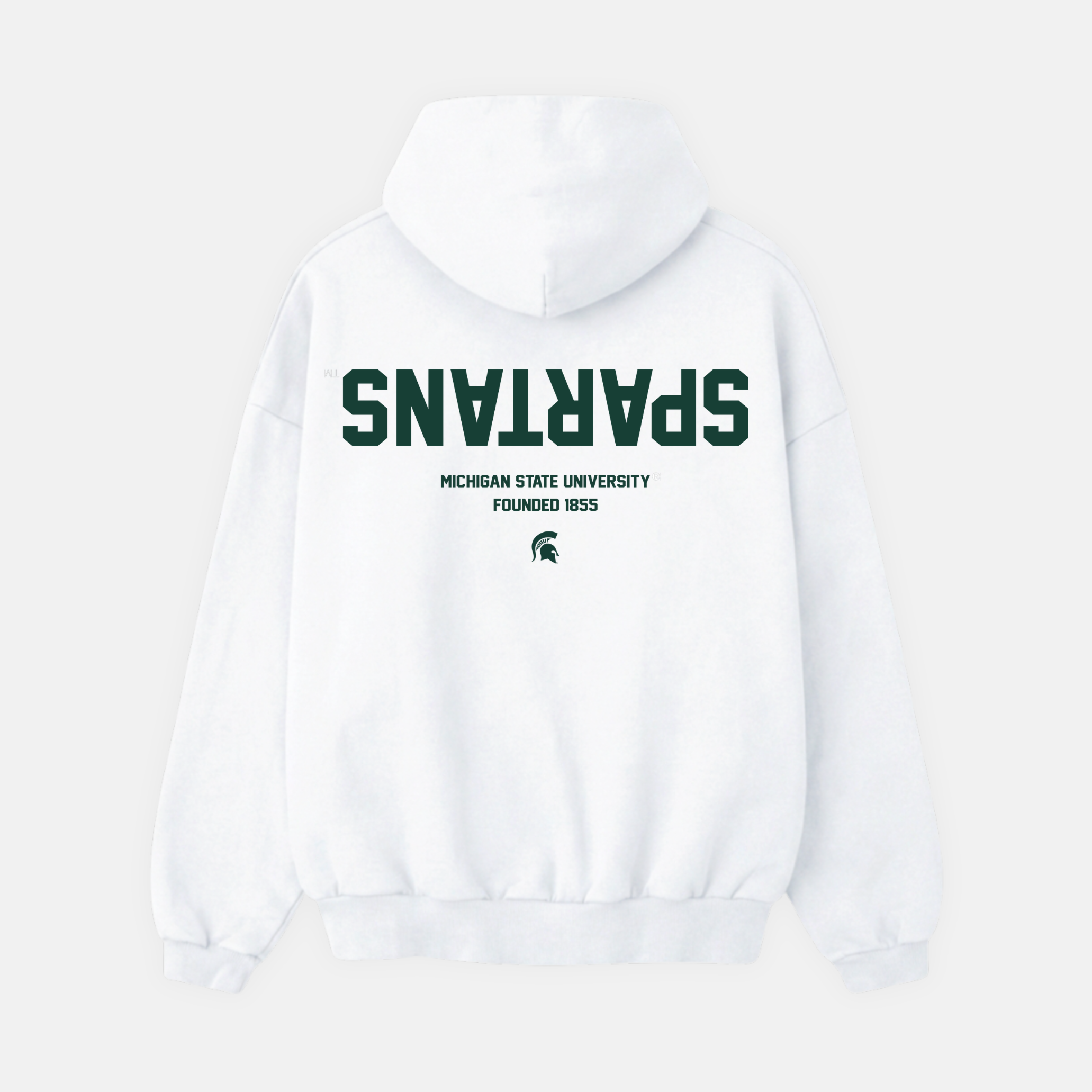 Michigan State Essentials Hoodie - UPSIDE