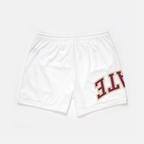 Florida State Mesh Shorts | Exclusive - UPSIDE