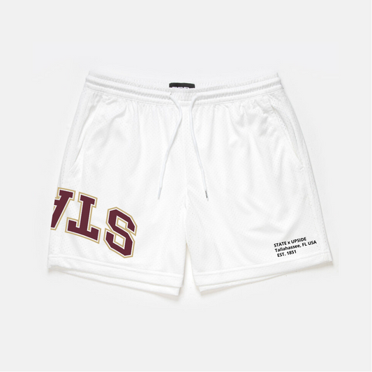 State Mesh Shorts | Exclusive