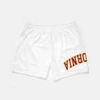 Southern California Mesh Shorts | Exclusive - UPSIDE