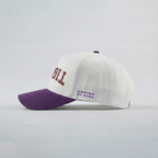LSU Tigers Hat