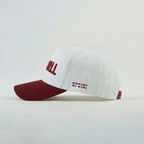 Troy Trojans Hat - UPSIDE