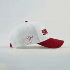 Troy Trojans Hat - UPSIDE