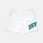Tulane Mesh Shorts | Exclusive - UPSIDE