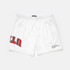 Utah Mesh Shorts | Exclusive - UPSIDE