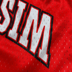 Wisconsin Mesh Shorts | Women